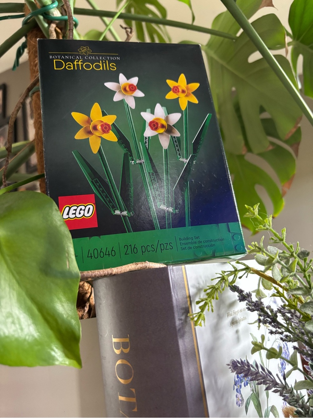 LEGO Botanical Collection - Daffodils - Picture 4 of 7